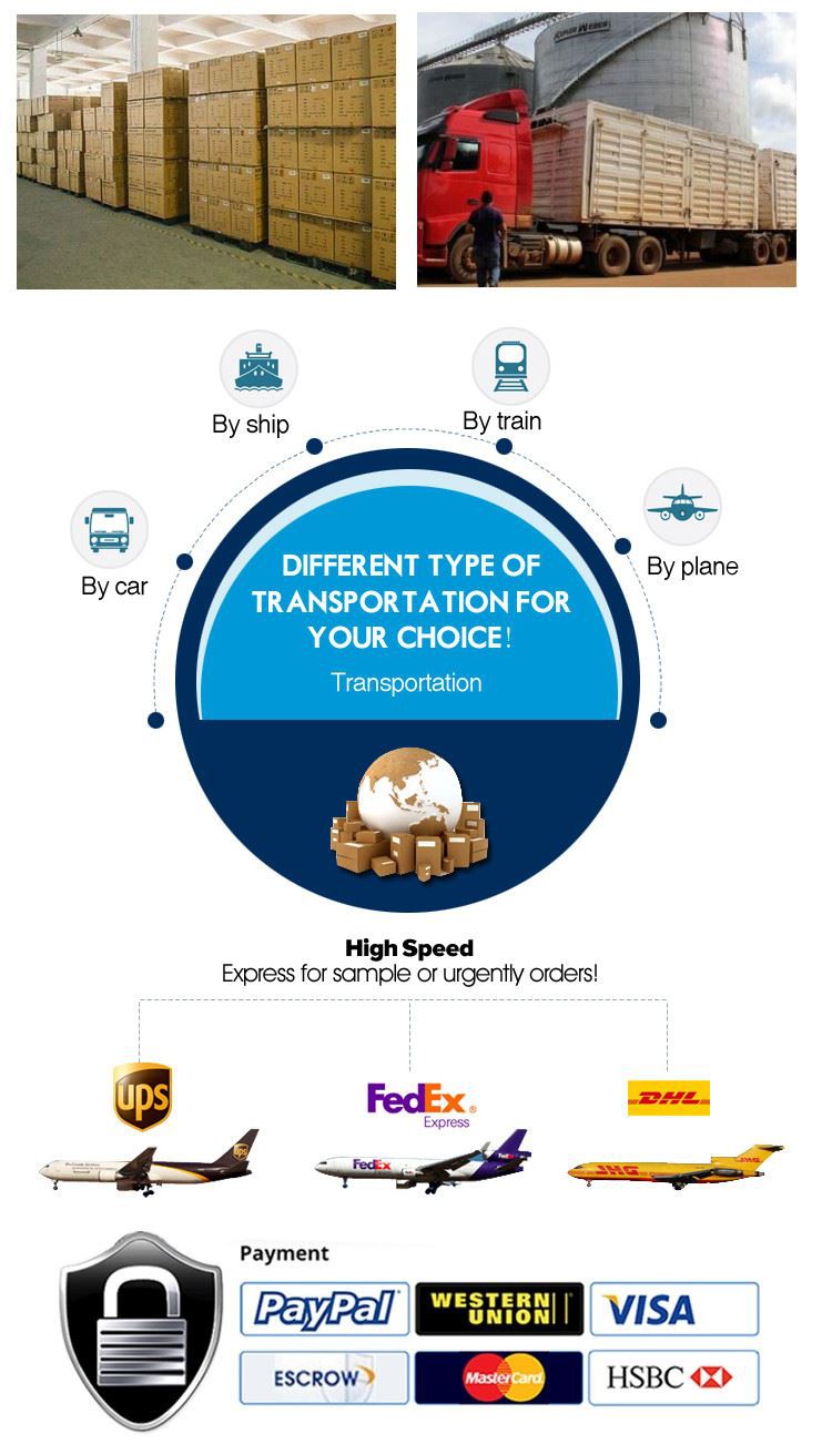 Tempered Glass Door Stainless Steel Handle